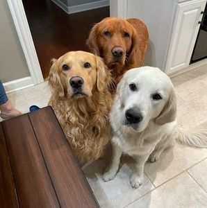 Meet your Posher, Michael